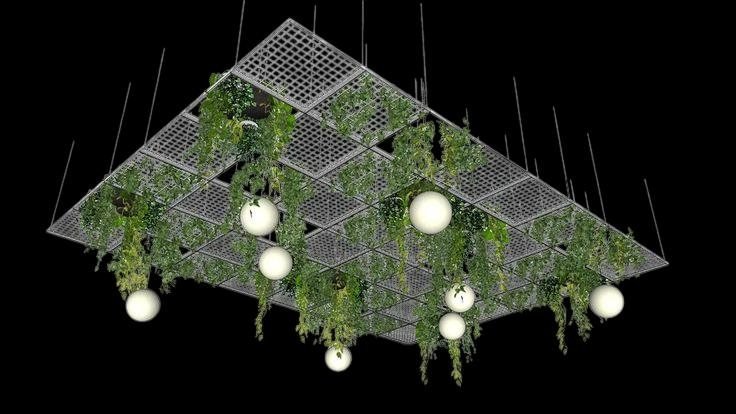 3D concept render of a biophilic hanging-plant ceiling installation with integrated globe lighting
